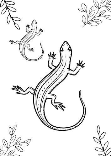 Salamander louring pages