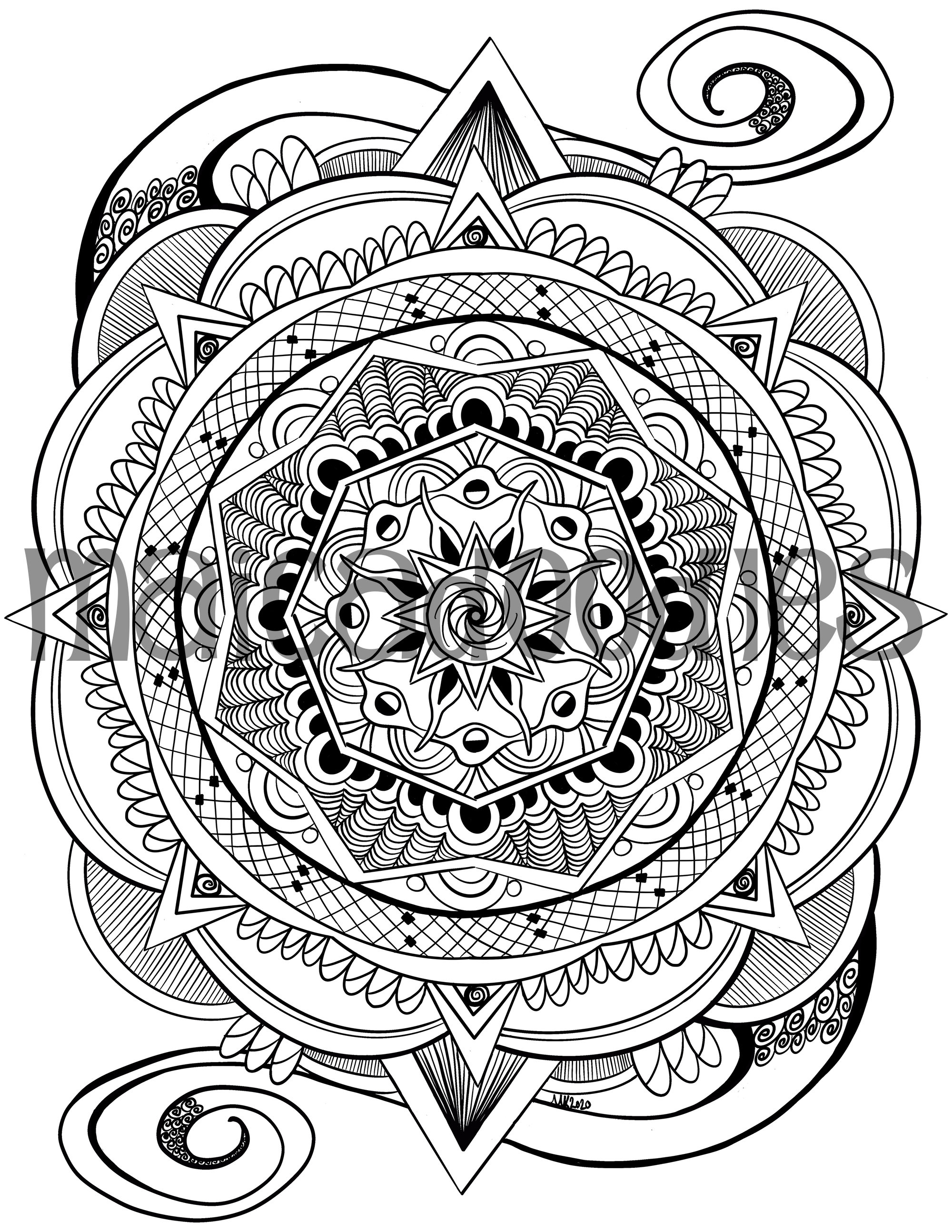 Coloring page salamander instant download print at home color and meditate self care activity