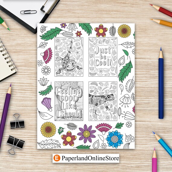 Salamander coloring book mandala crafts hobbies zentangle books funny quotes and freestyle drawing pages amphibian spotted salamanders