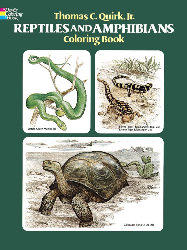 Spotted salamander coloring page