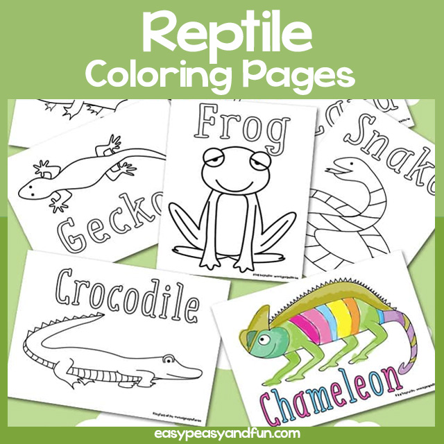 Reptile coloring pages â easy peasy and fun hip