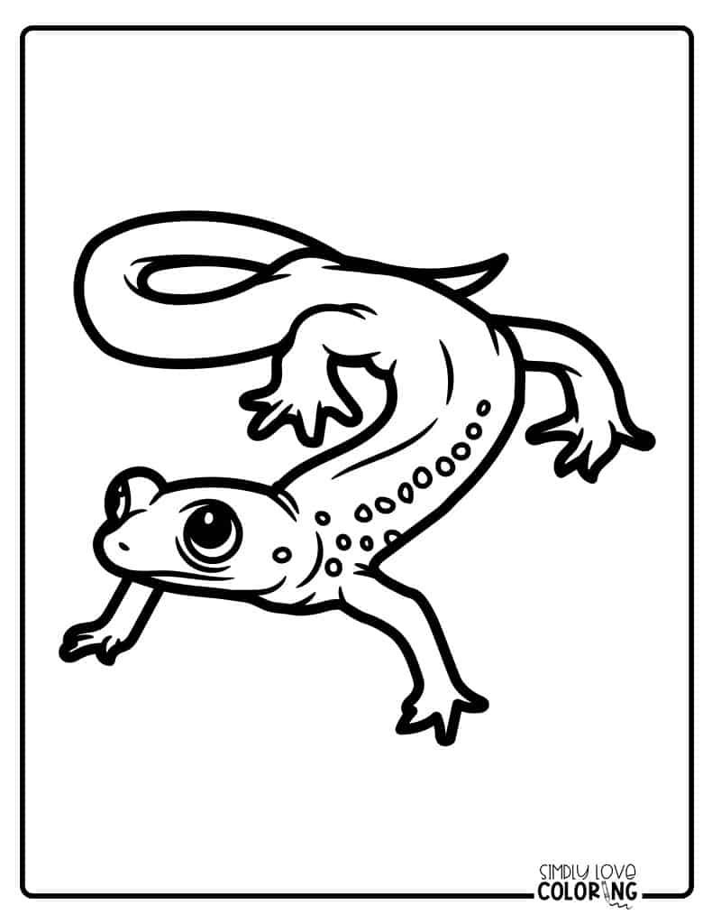 Salamander coloring pages free pdf printables