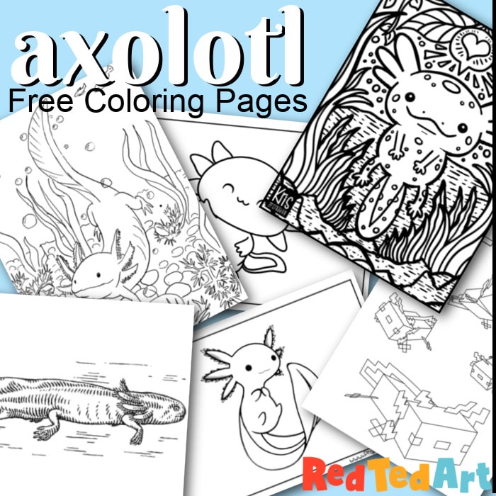Free axolotl coloring pages