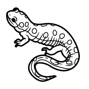 Salamander coloring pages printable for free download