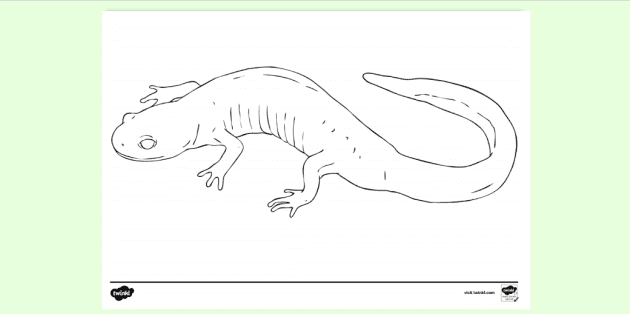 Amphibian louring page