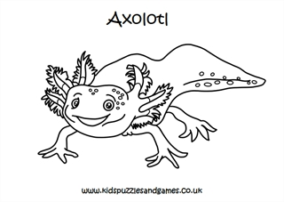 Axolotl louring sheets