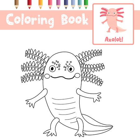 Axolotl coloring book stock photos and images