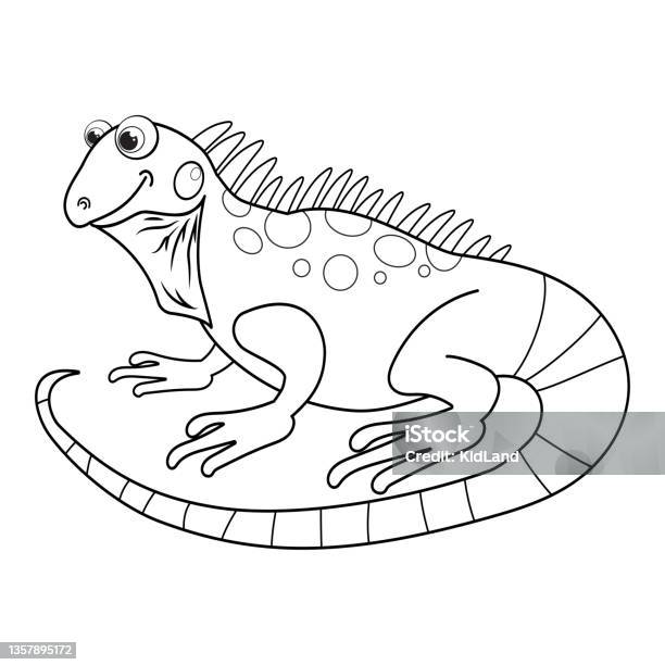 Colorless cartoon iguana coloring pages template page for coloring book of funny lizard or salamander for