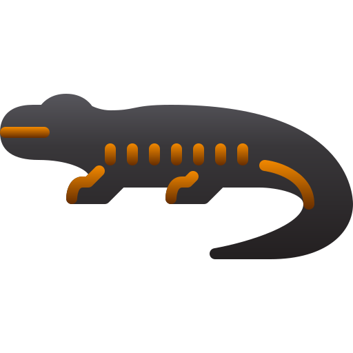 Salamander