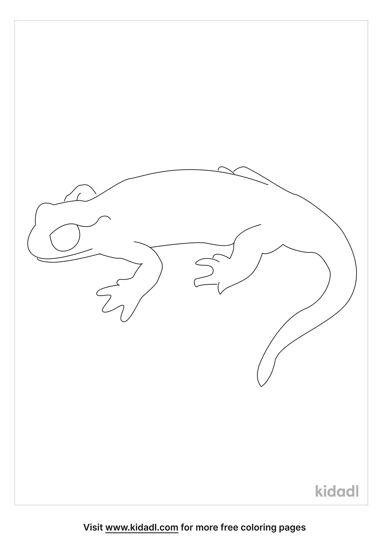 Free salamander outline coloring page coloring page printables