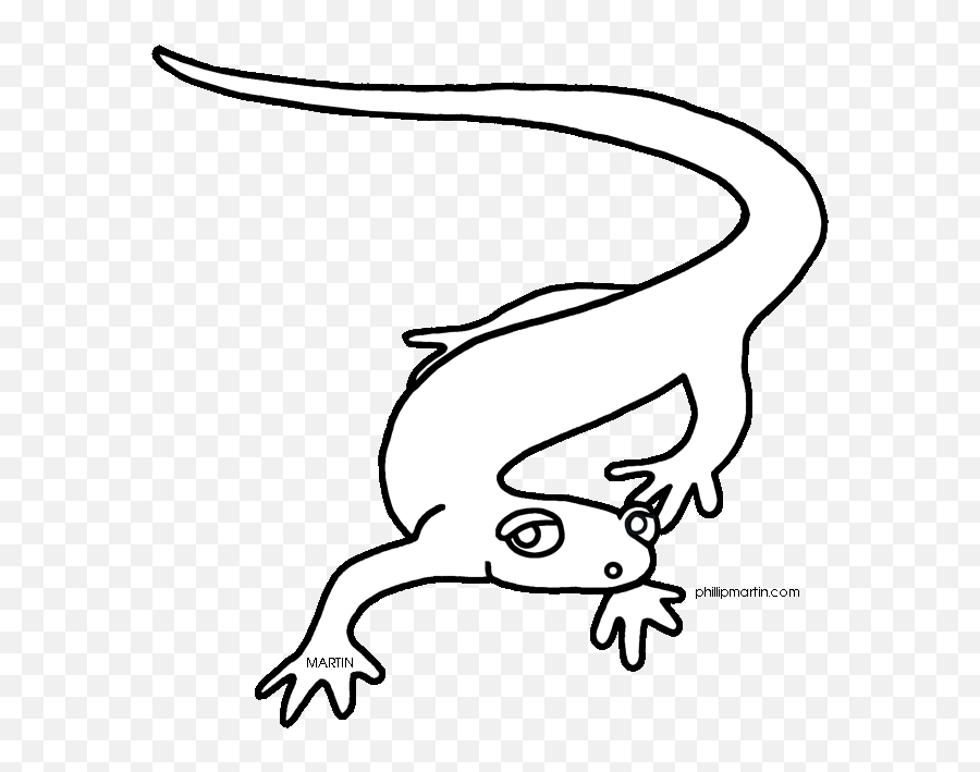 Free salamander clipart black and white download free clip