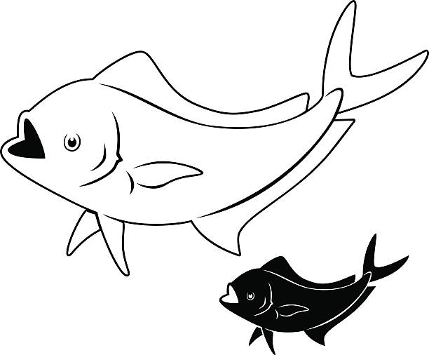 Salminus brasiliensis stock illustrations royalty