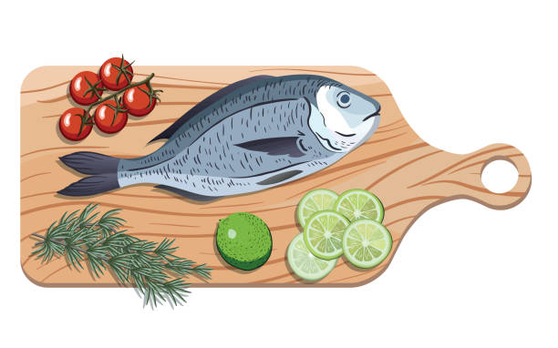 Salminus brasiliensis stock illustrations royalty