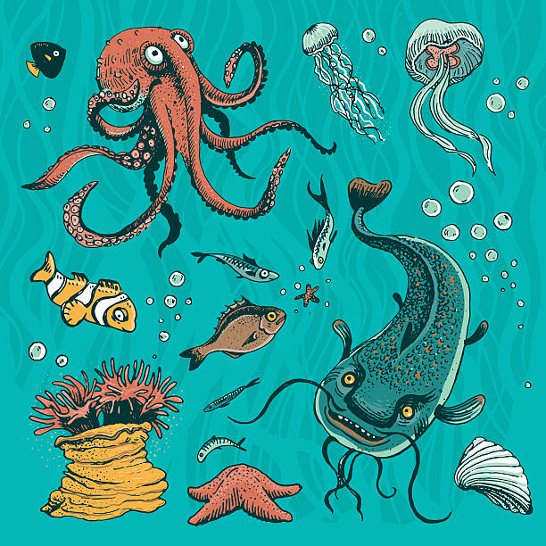 Salminus brasiliensis stock illustrations royalty