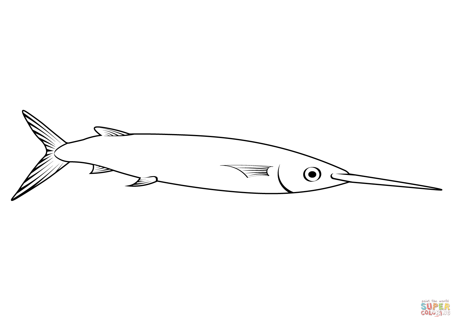 Ballyhoo halfbeak hemiramphus brasiliensis coloring page free printable coloring pages