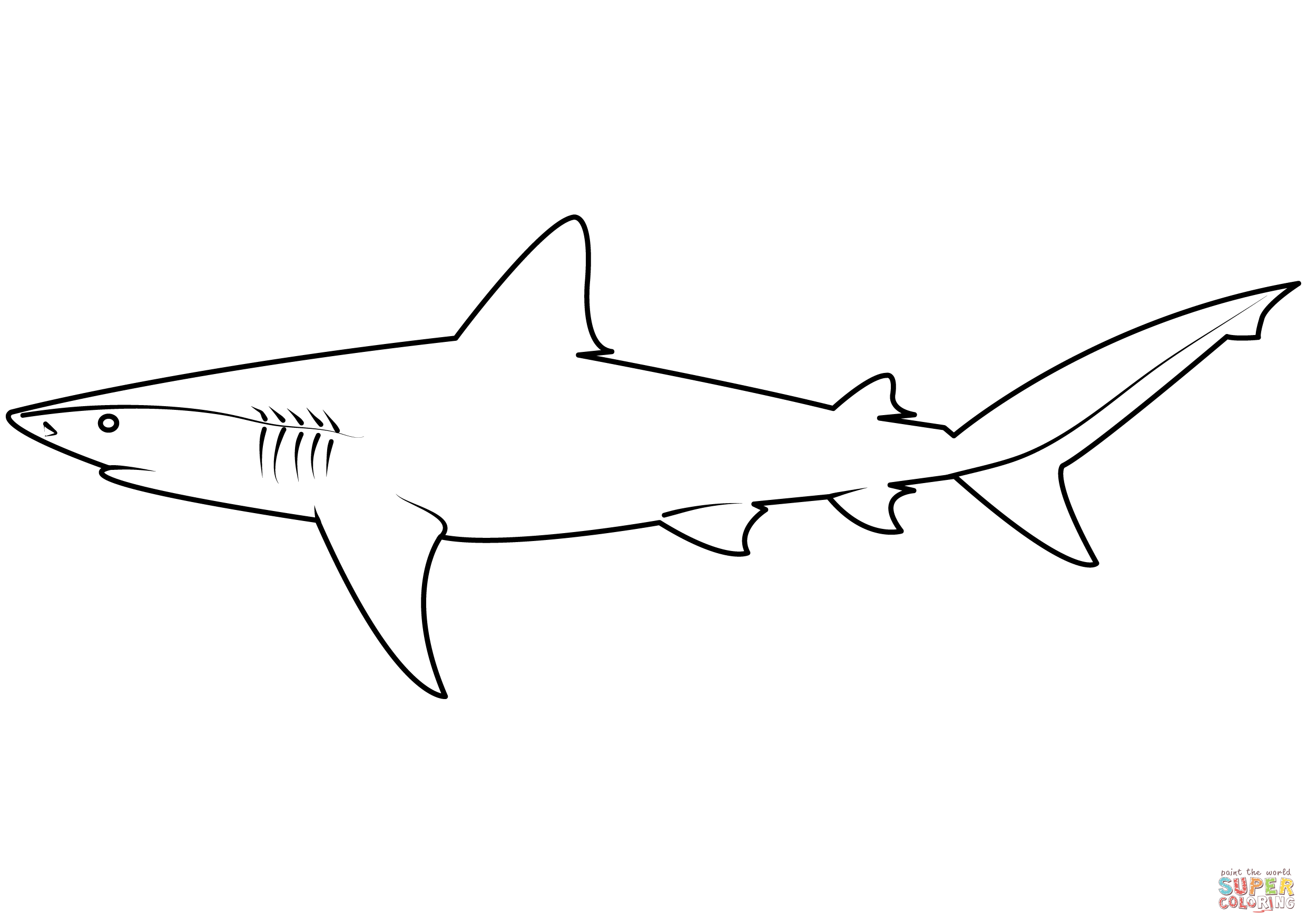 Dusky shark carcharhinus obscurus coloring page free printable coloring pages