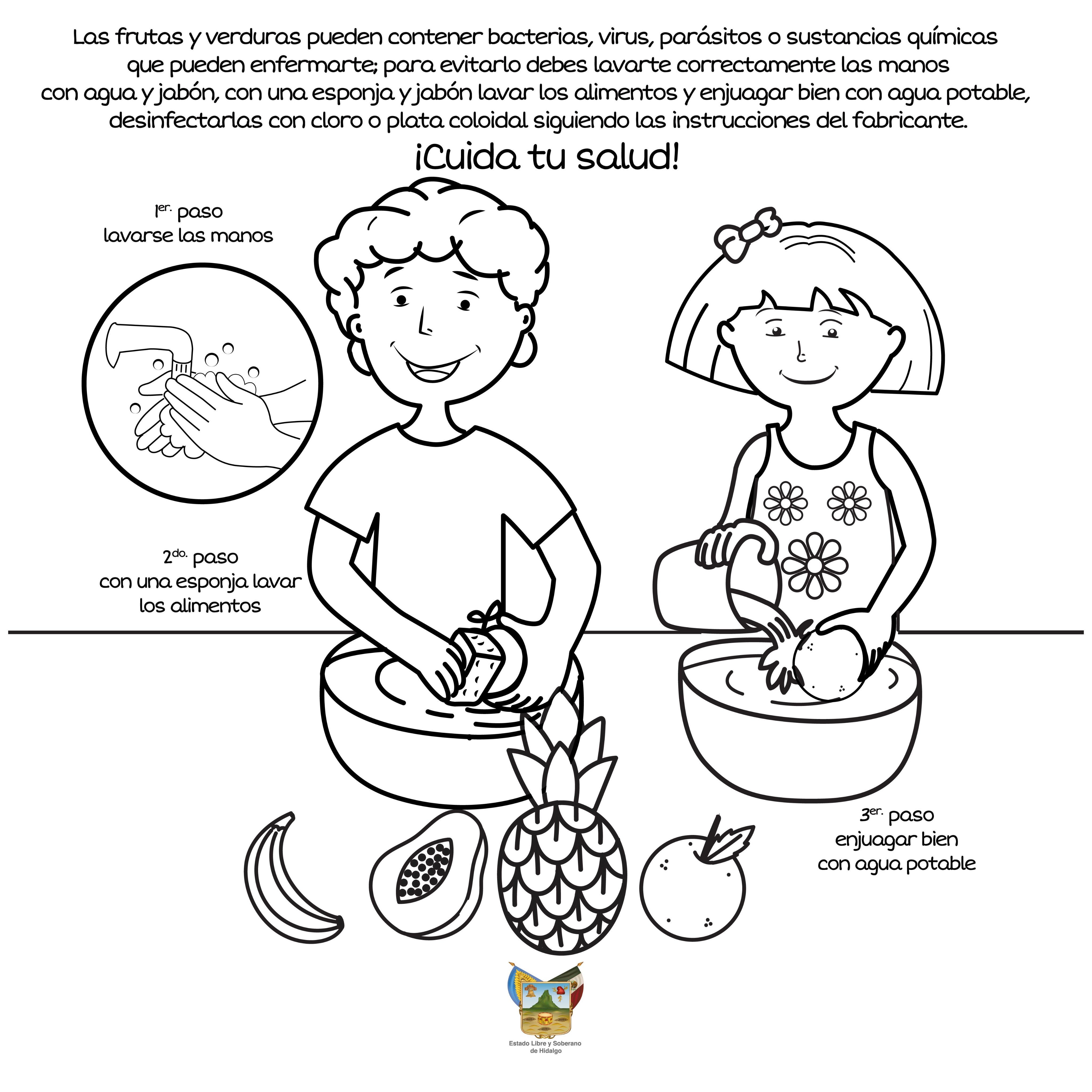 Secretarãa de salud del estado de hidalgo on x las frutas y verduras pueden contener bacterias virus parãsitos o sustancias quãmicas que pueden afectar tu salud es importante que antes de consumirlas