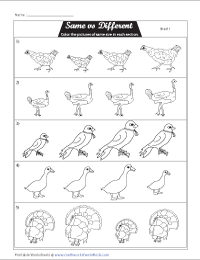 Same and different worksheets