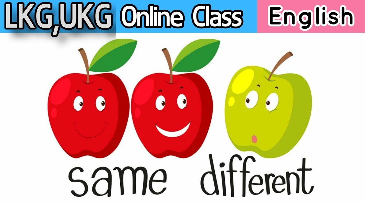 Sae and different pre nuber concept sae or different lesson plan ath online class ep