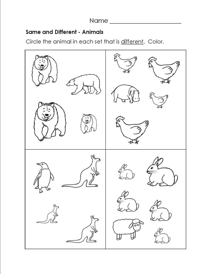 Same and different worksheets for kids activity shelter worksheets for kids kindergarten worksheets preschool worksheets