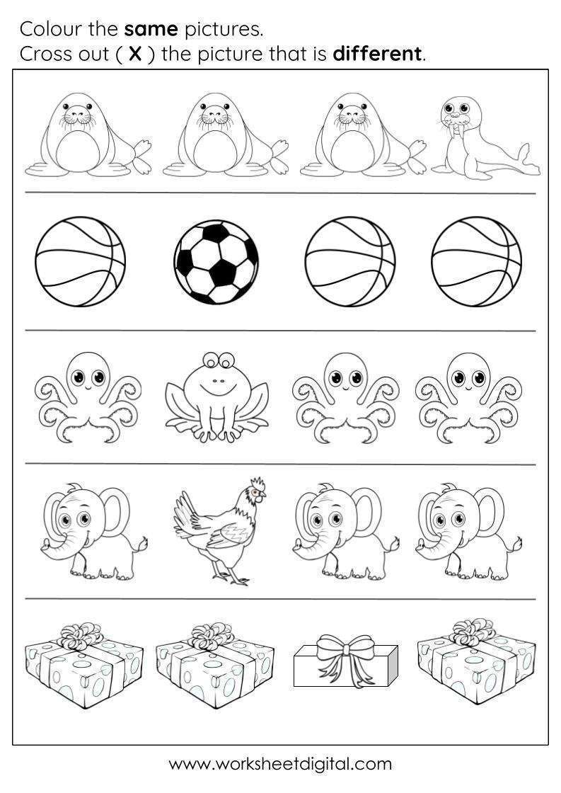 Same and different worksheet
