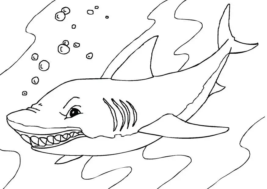Shark malvorlagen