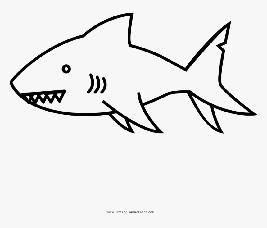 Shark coloring page