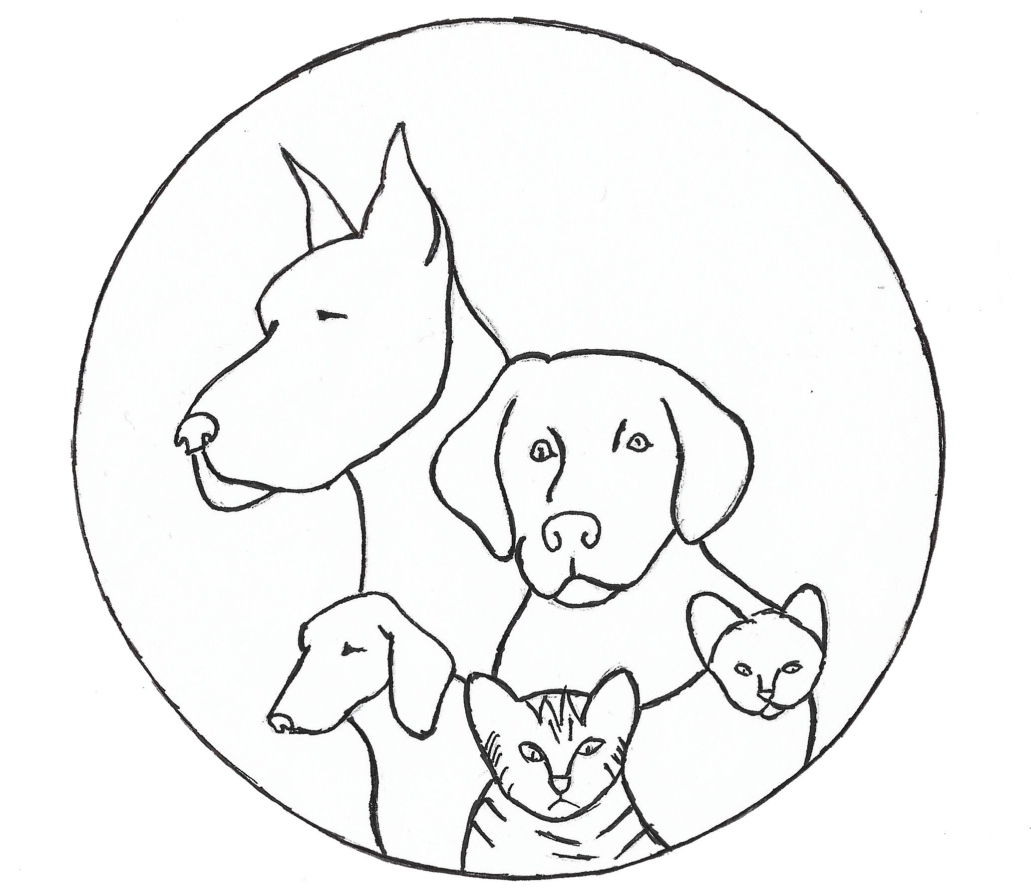 Veterinary san marcos veterinary clinic in san marcos tx