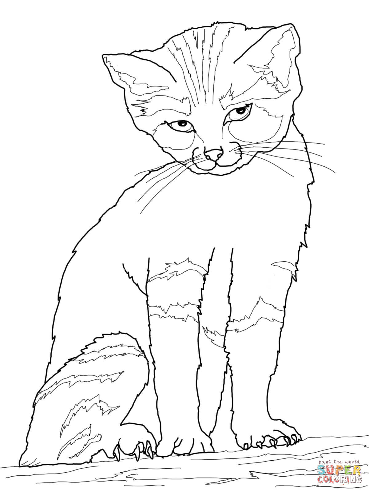 Sand cat coloring page free printable coloring pages