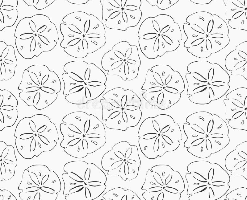 Sand dollar stock illustrations â sand dollar stock illustrations vectors clipart