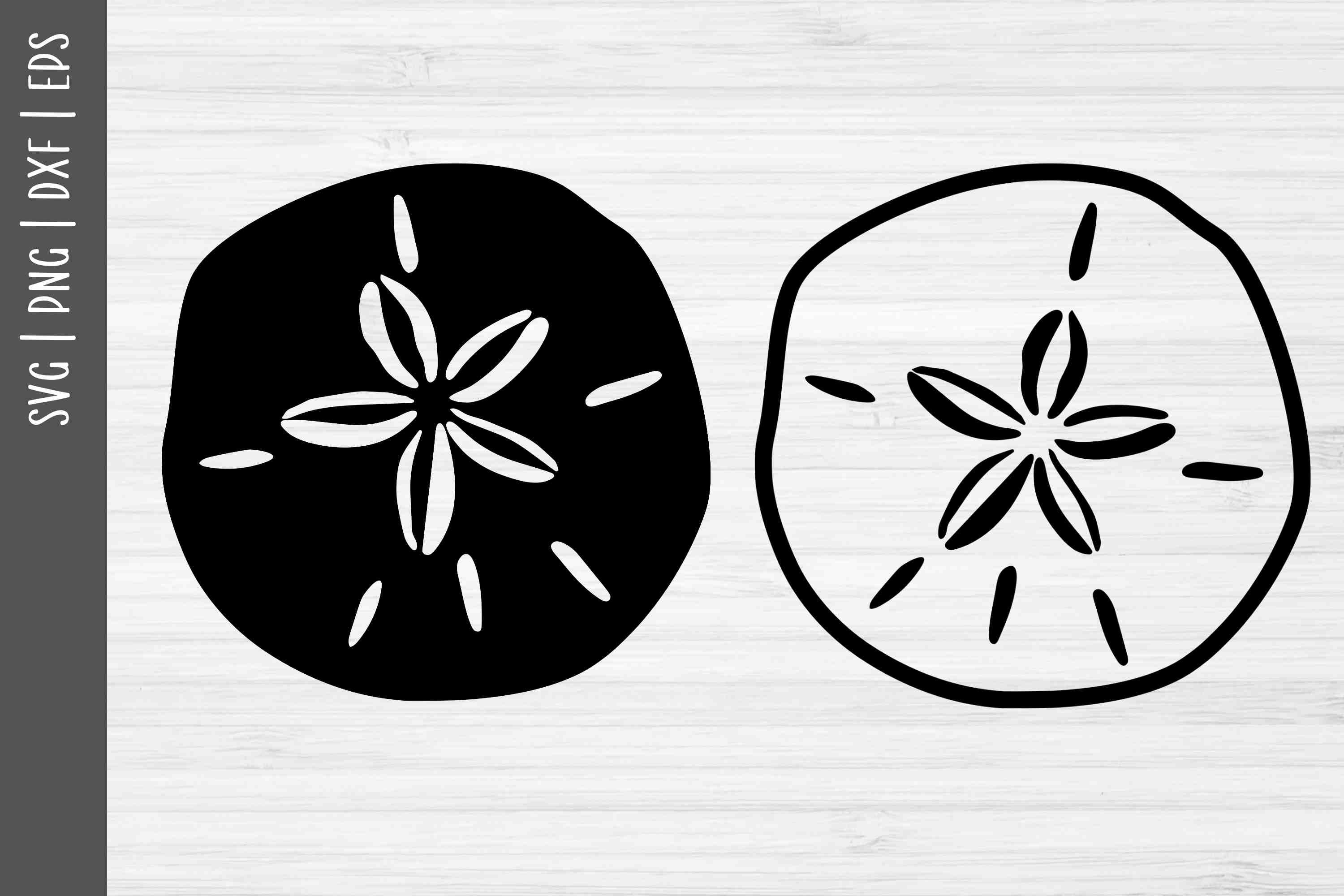 Beach svg sand dollar svg