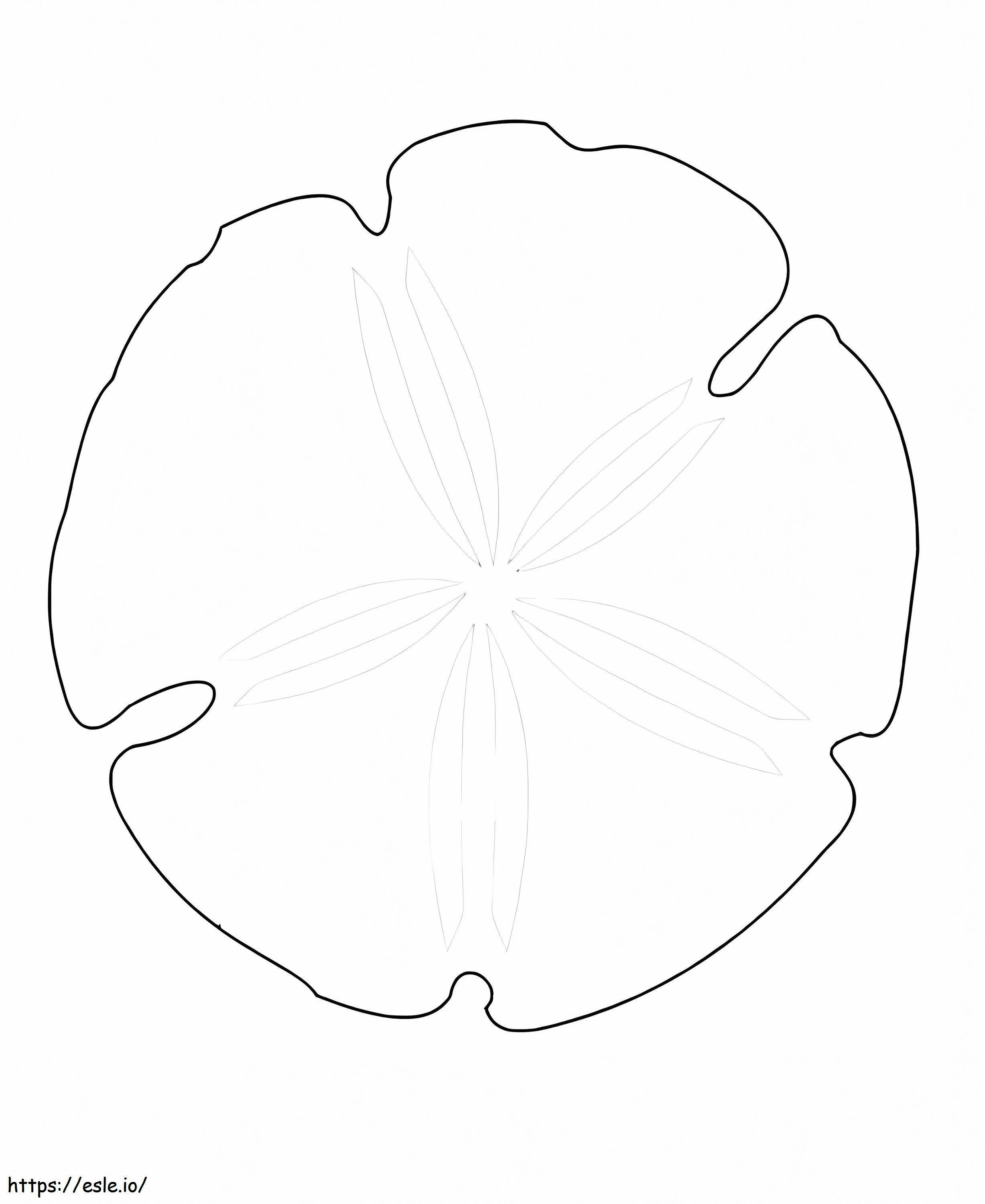 Sand dollar coloring page