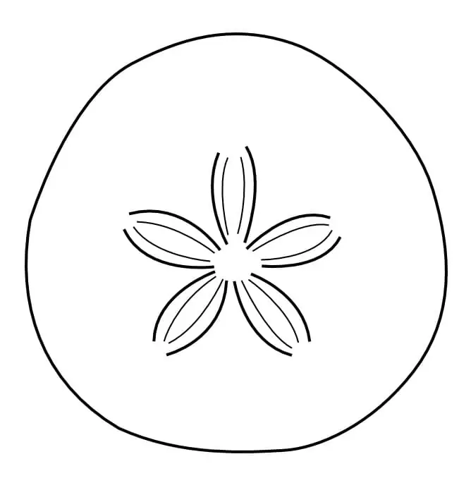 Sand dollar malvorlagen