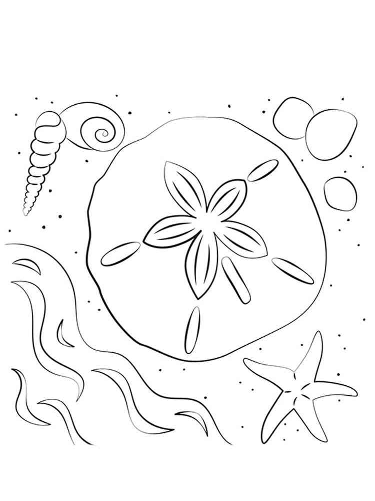 Sand dollar coloring pages