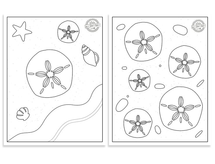 Printable sand dollar coloring pages coloring pages shark coloring pages ocean coloring pages