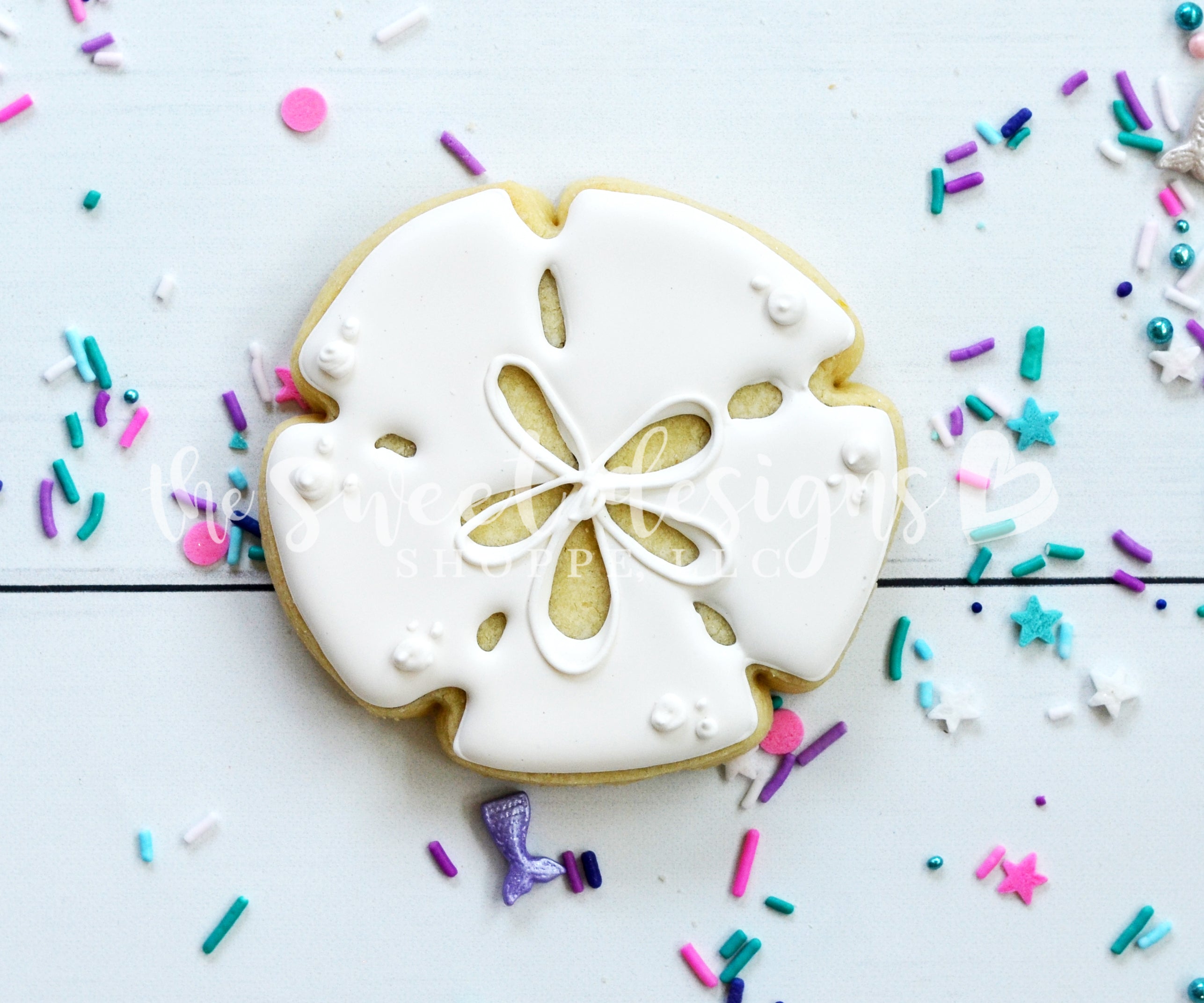 Sand dollar