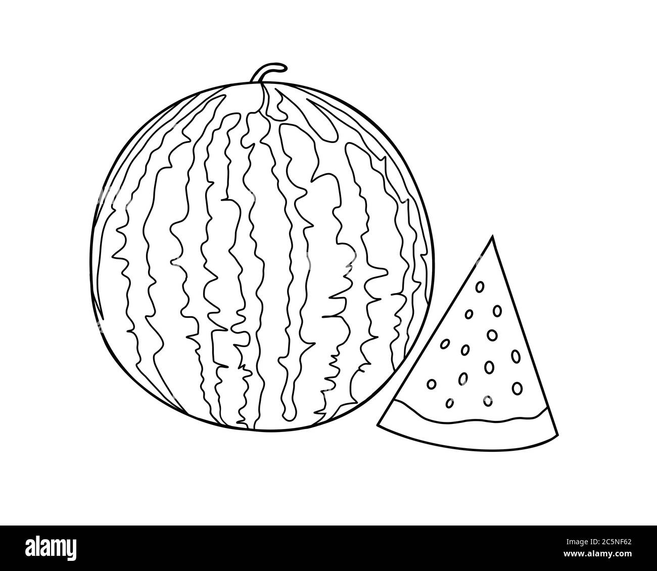 Watermelon illustration coloring book fotografãas e imãgen de alta roluciãn