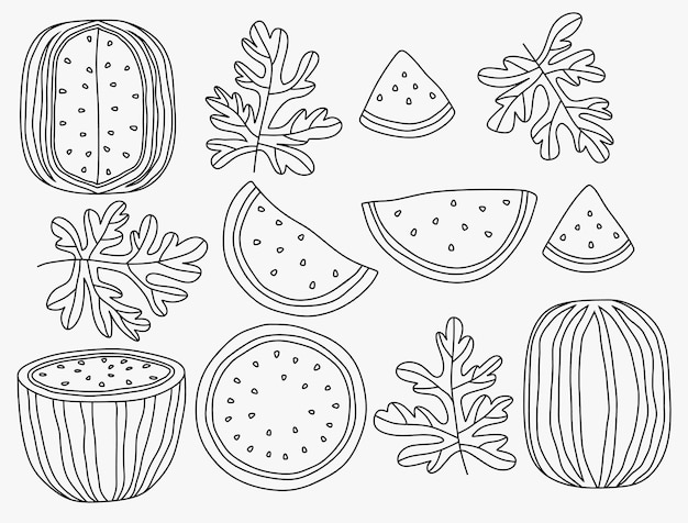 Conjunto de frutas de sandãa enteras y rebanadas aisladas vector premium