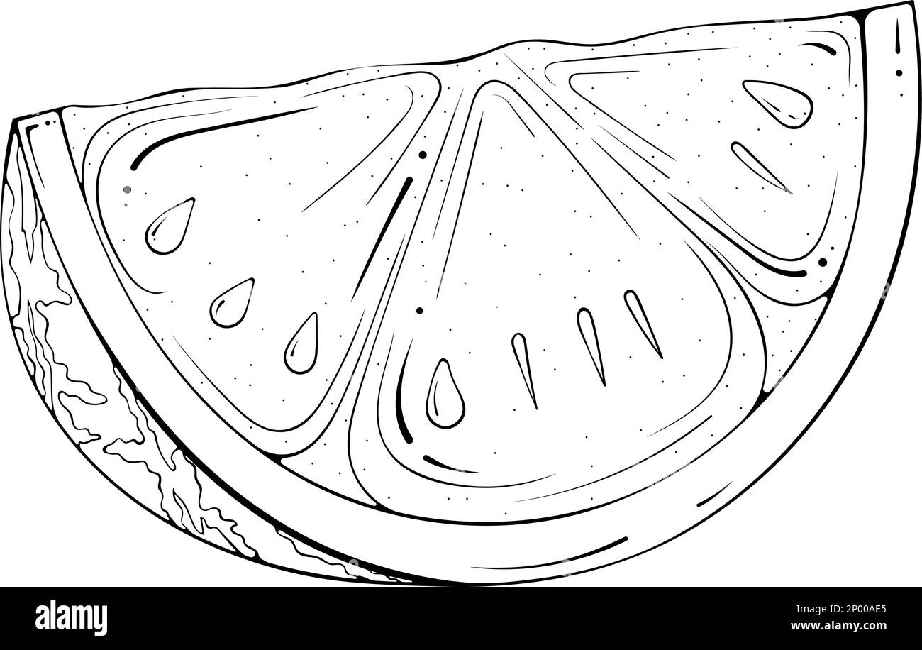 Watermelon illustration coloring book imãgen recortadas de stock