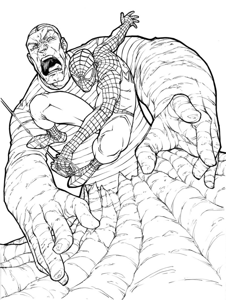 Spider