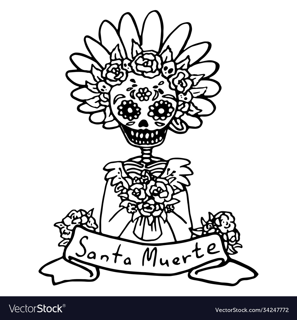 Santa muerte skeleton on white isolated backdrop vector image