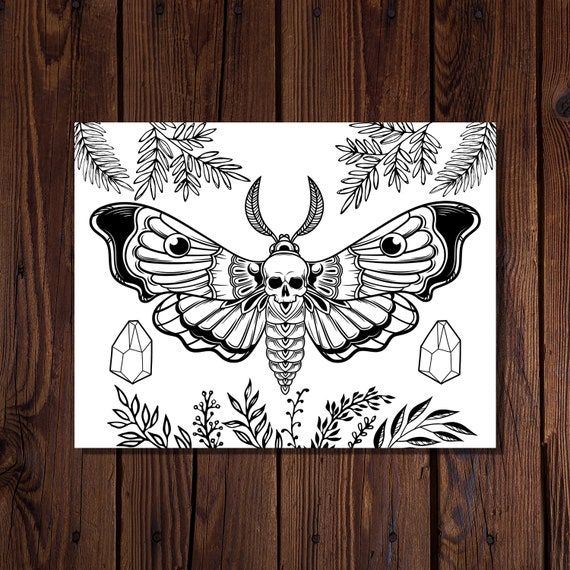 Death moth coloring page