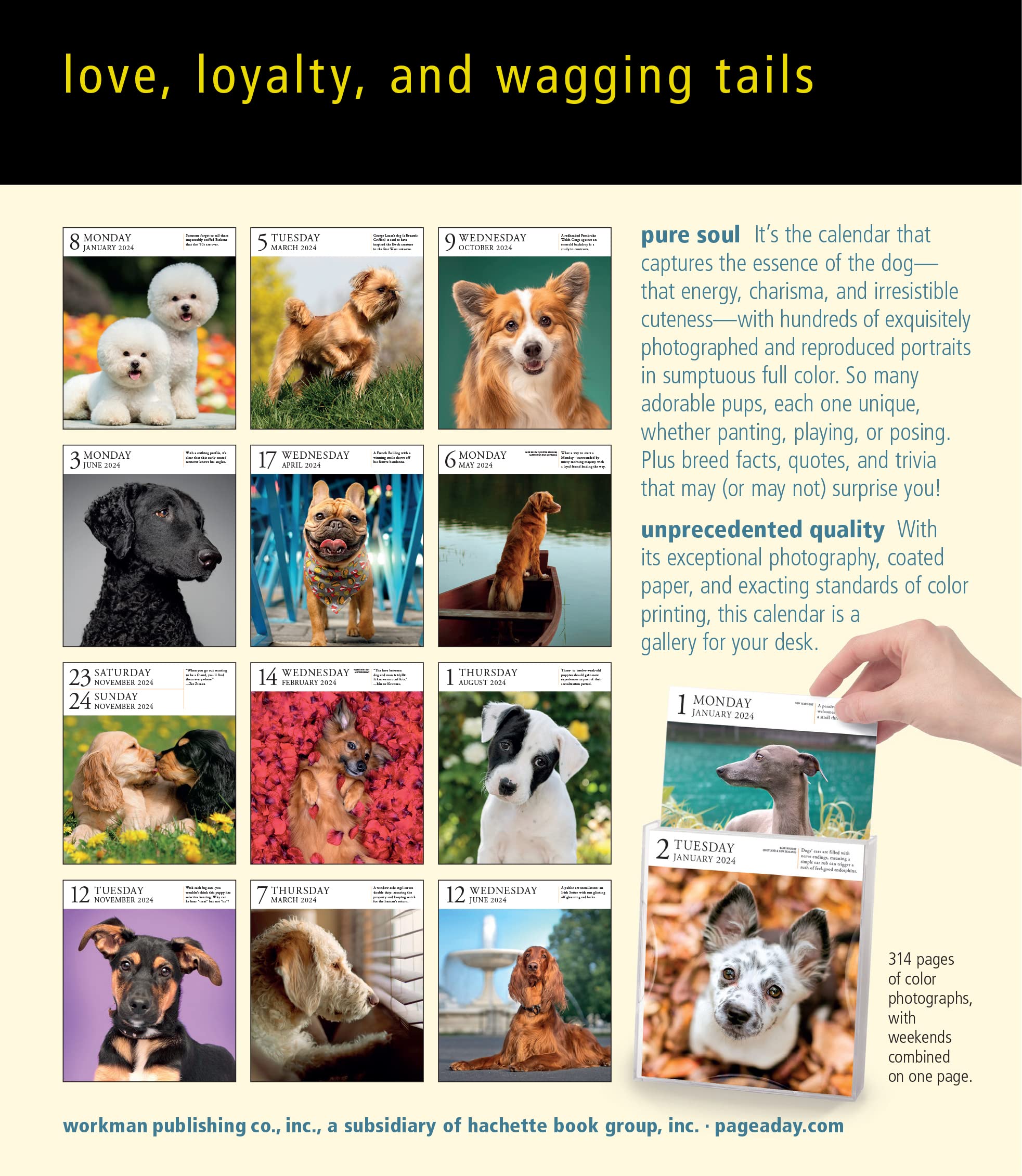 Dog page