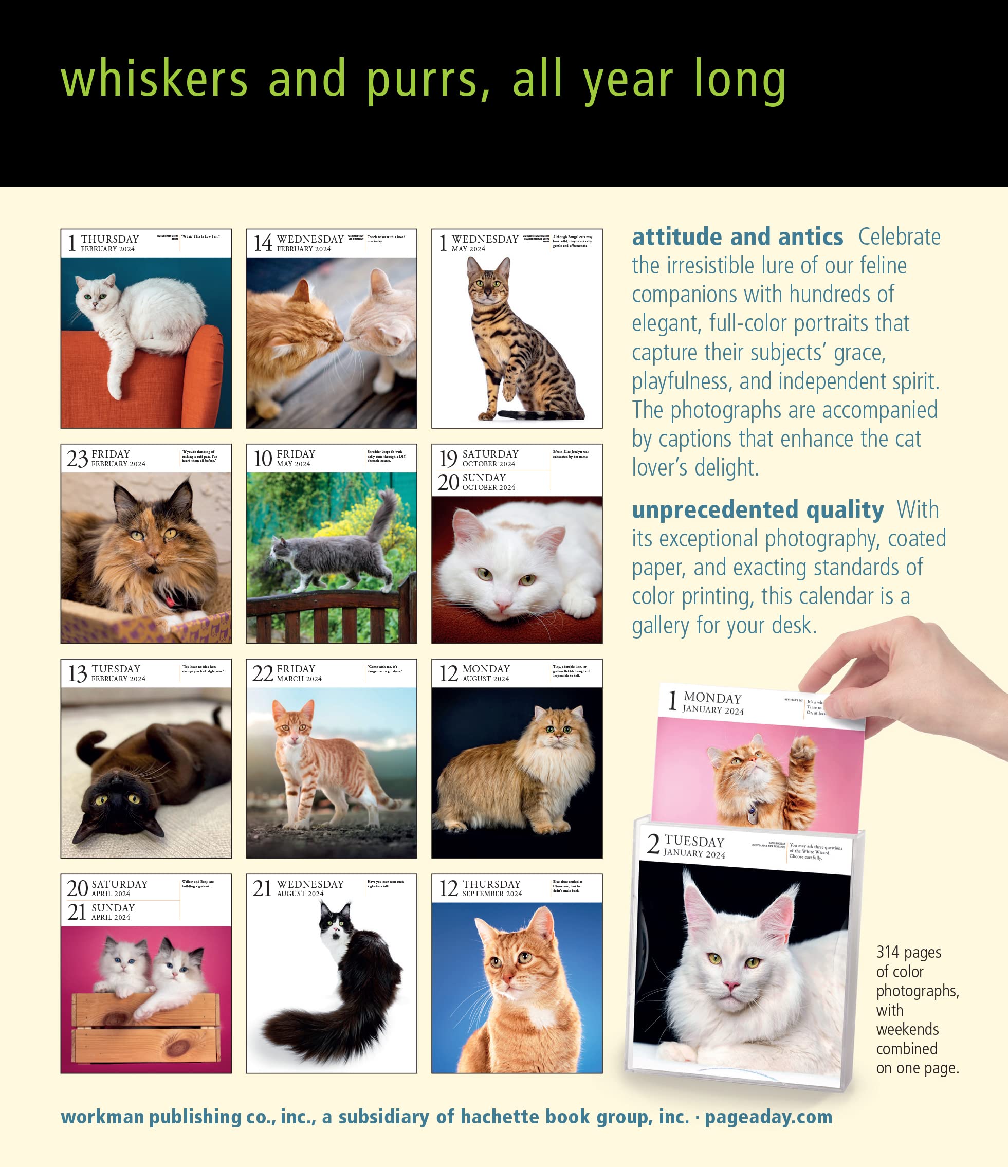 Cat page