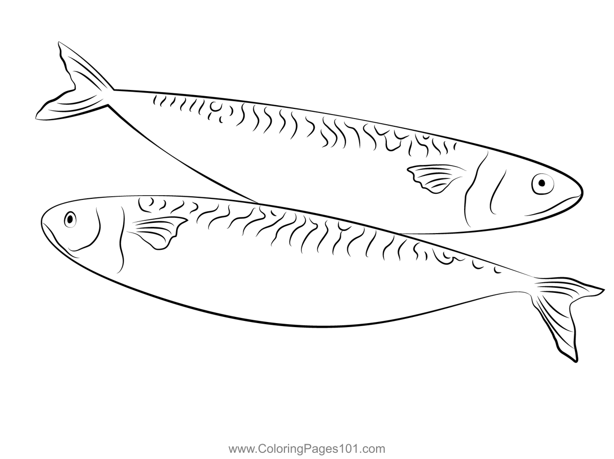 Mackerel titus coloring page coloring pages color coloring pages for kids