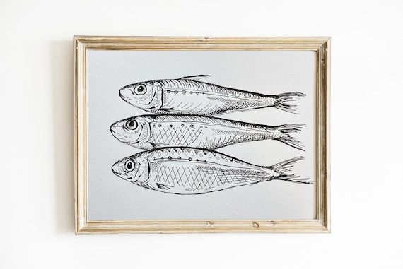 Original sardines hand drawn ink drawing small fish still life kitchen art x