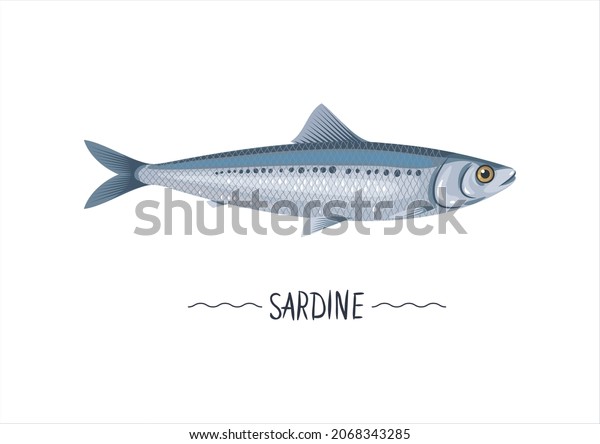 Thousand cartoon sardine royalty