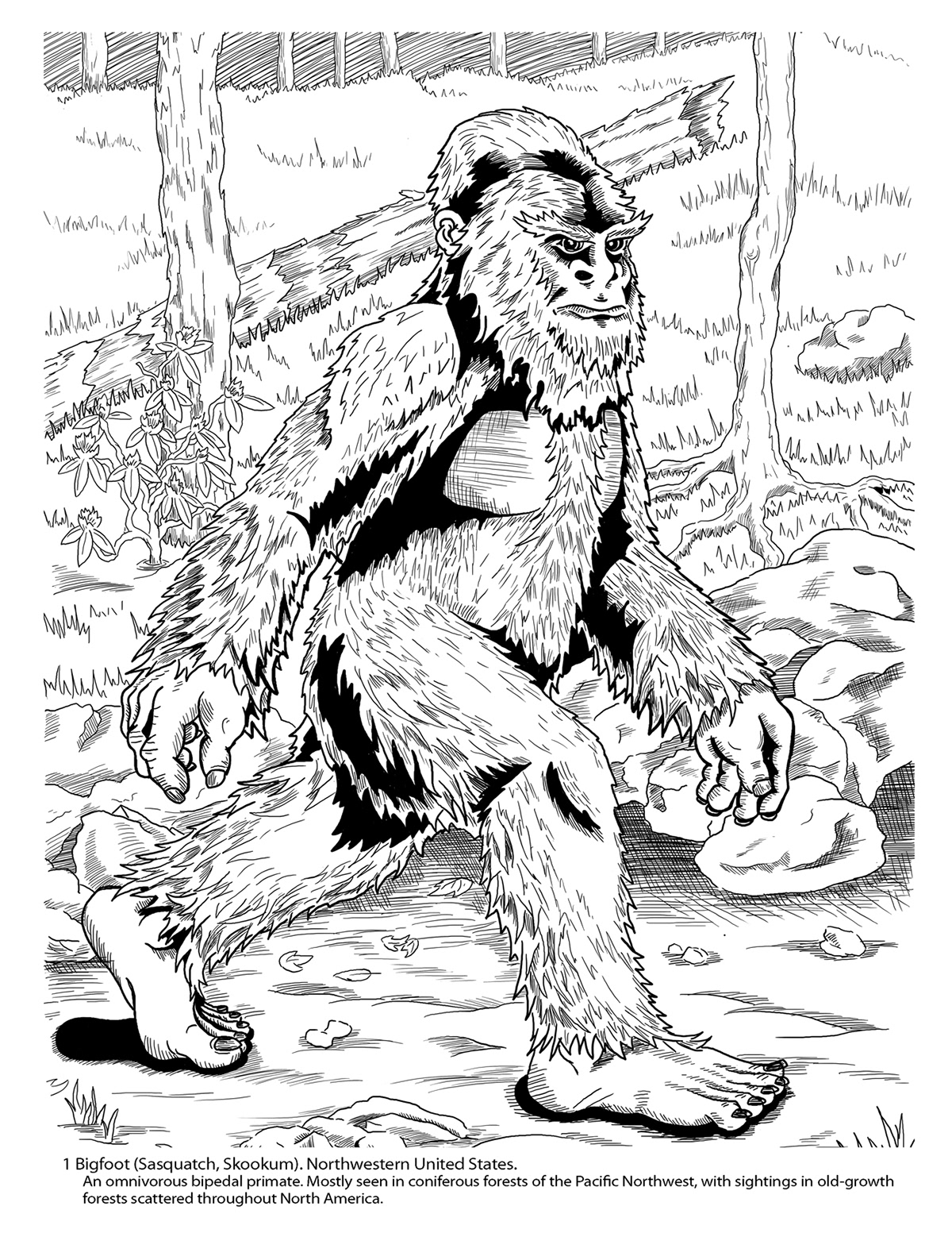 Cryptozoology