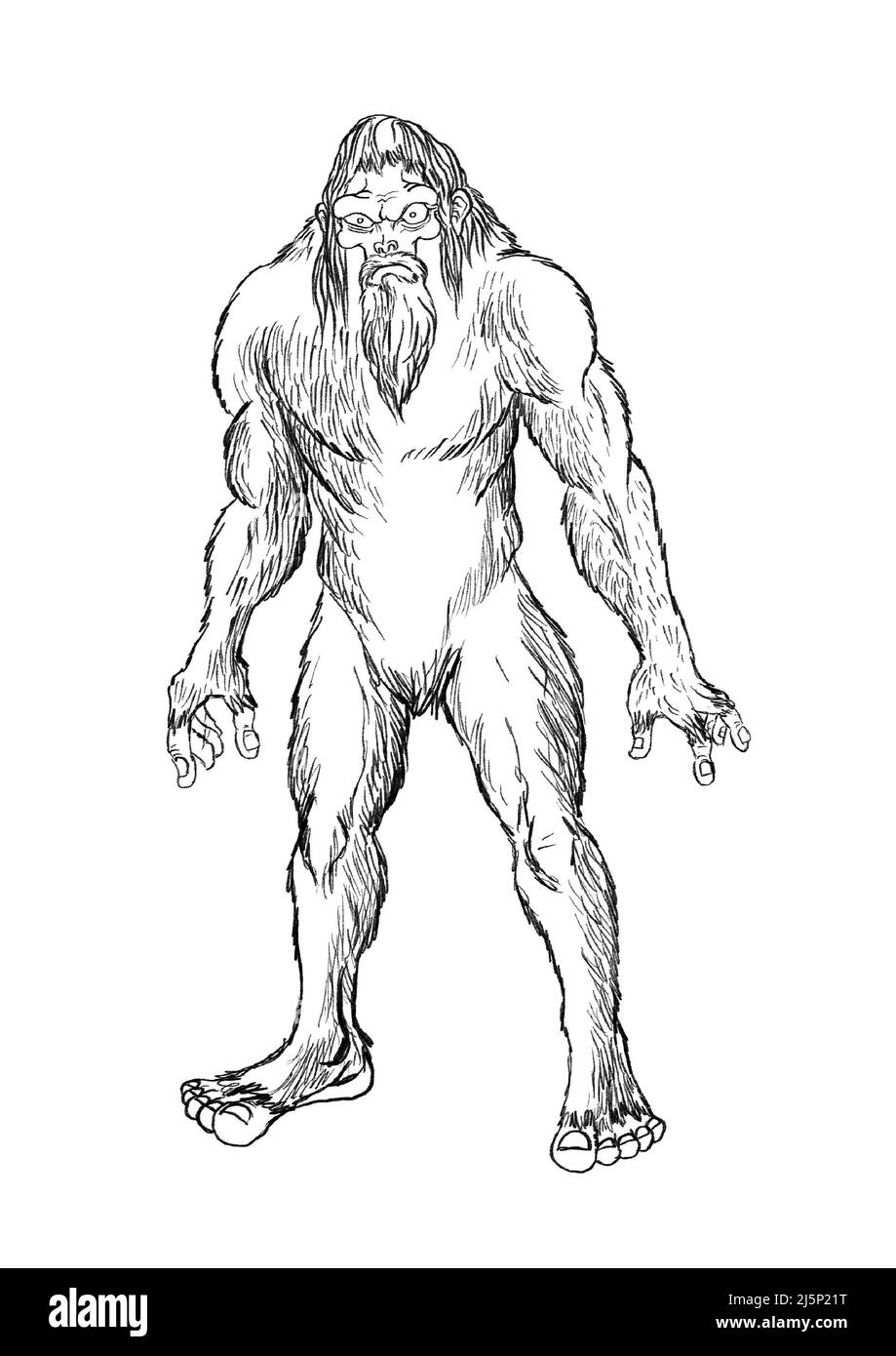 Sasquatch illustration hi