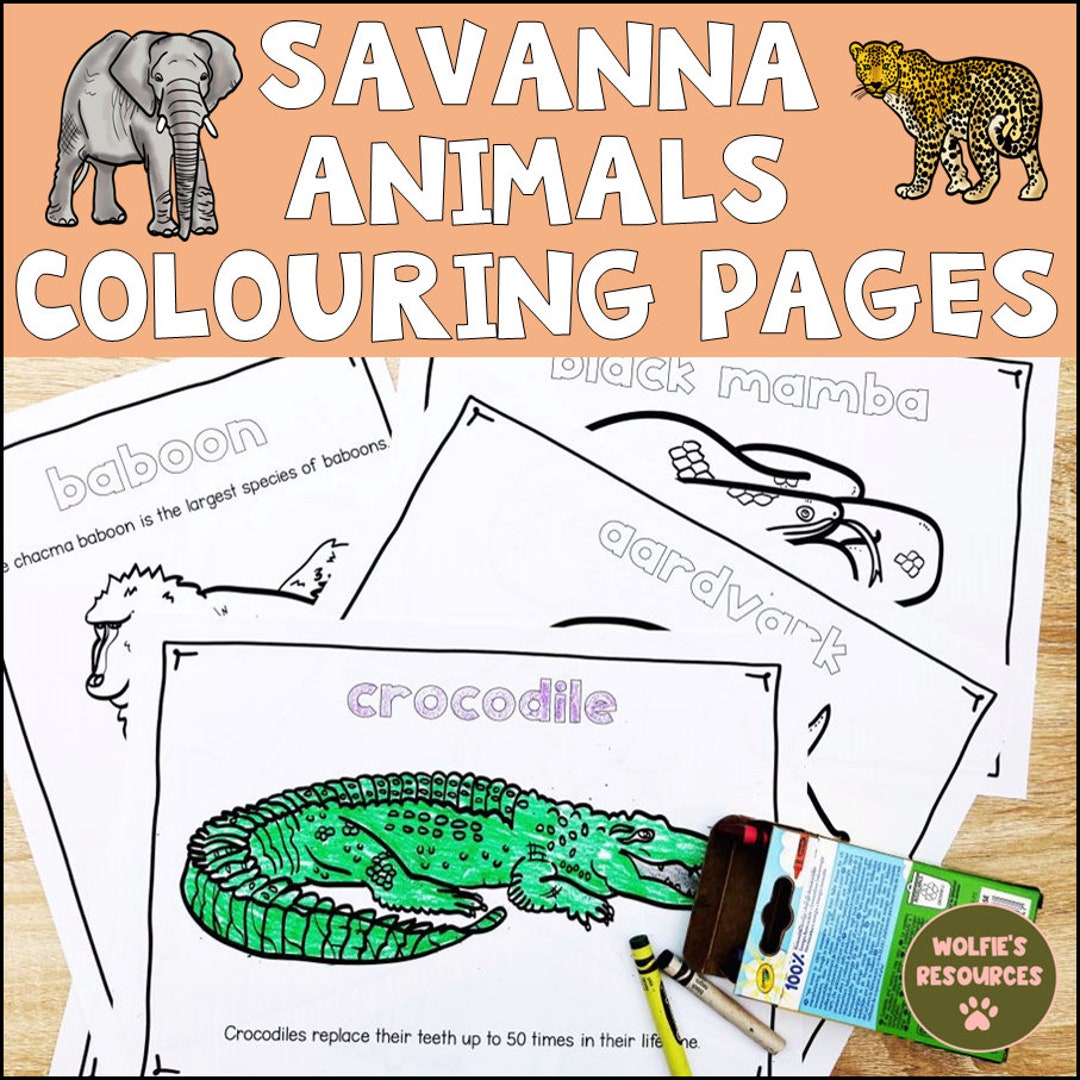 Animals of the african savanna coloring pages